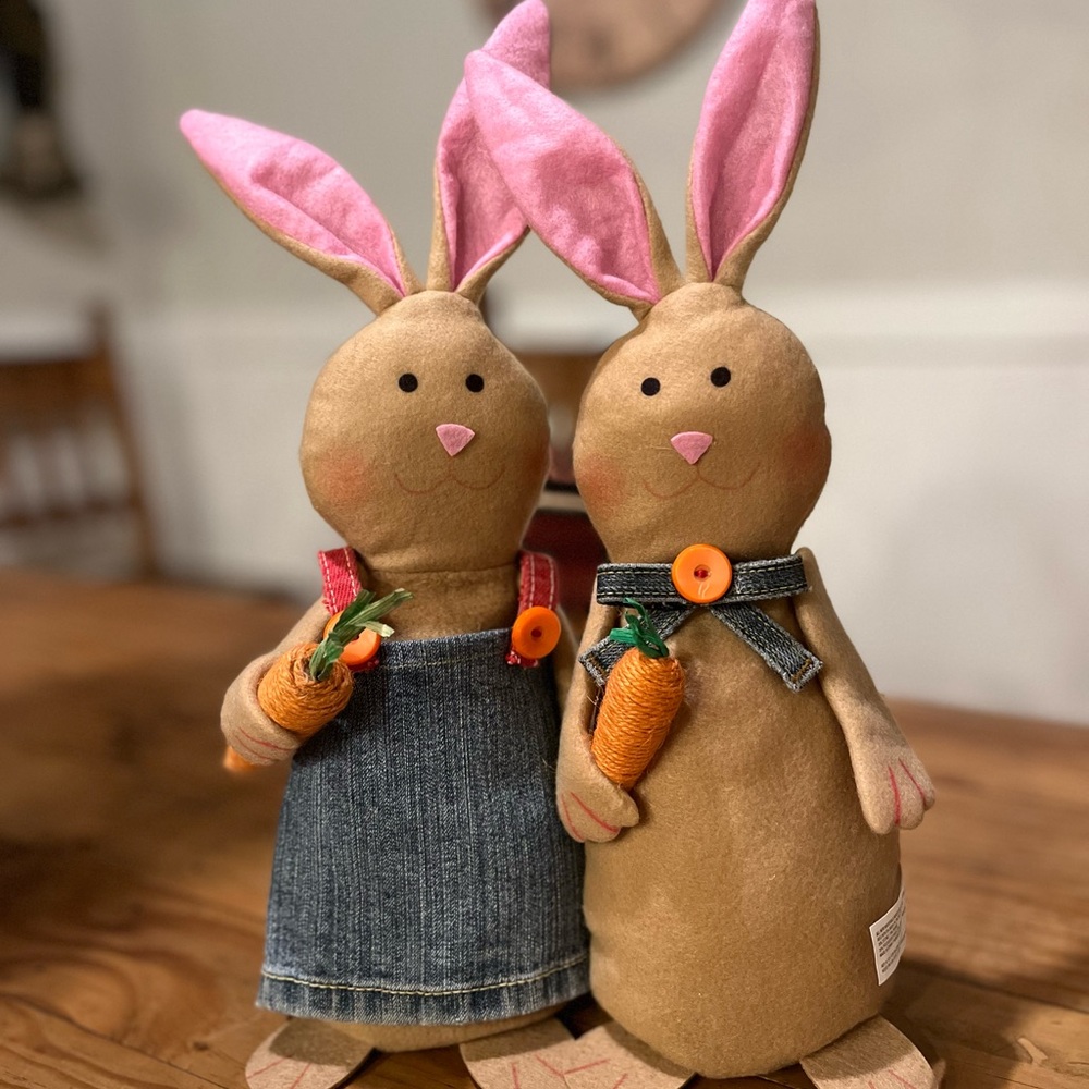 Easter Bunny Couple with Carrots and Custom Clothing